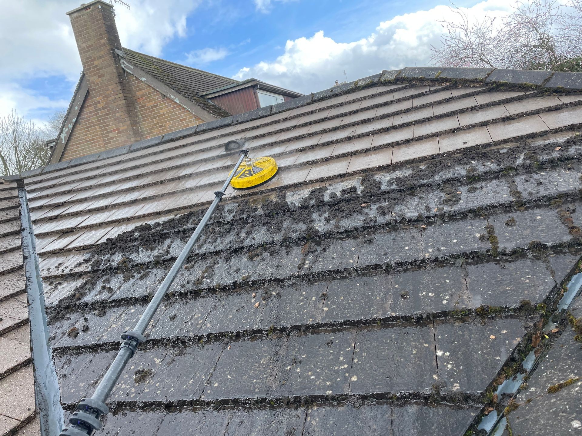 Roof Cleaning 